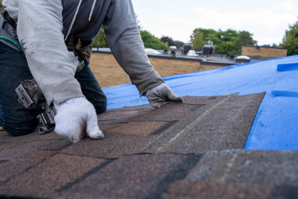 Roof Gutter Cleaning in Deer Park, WA